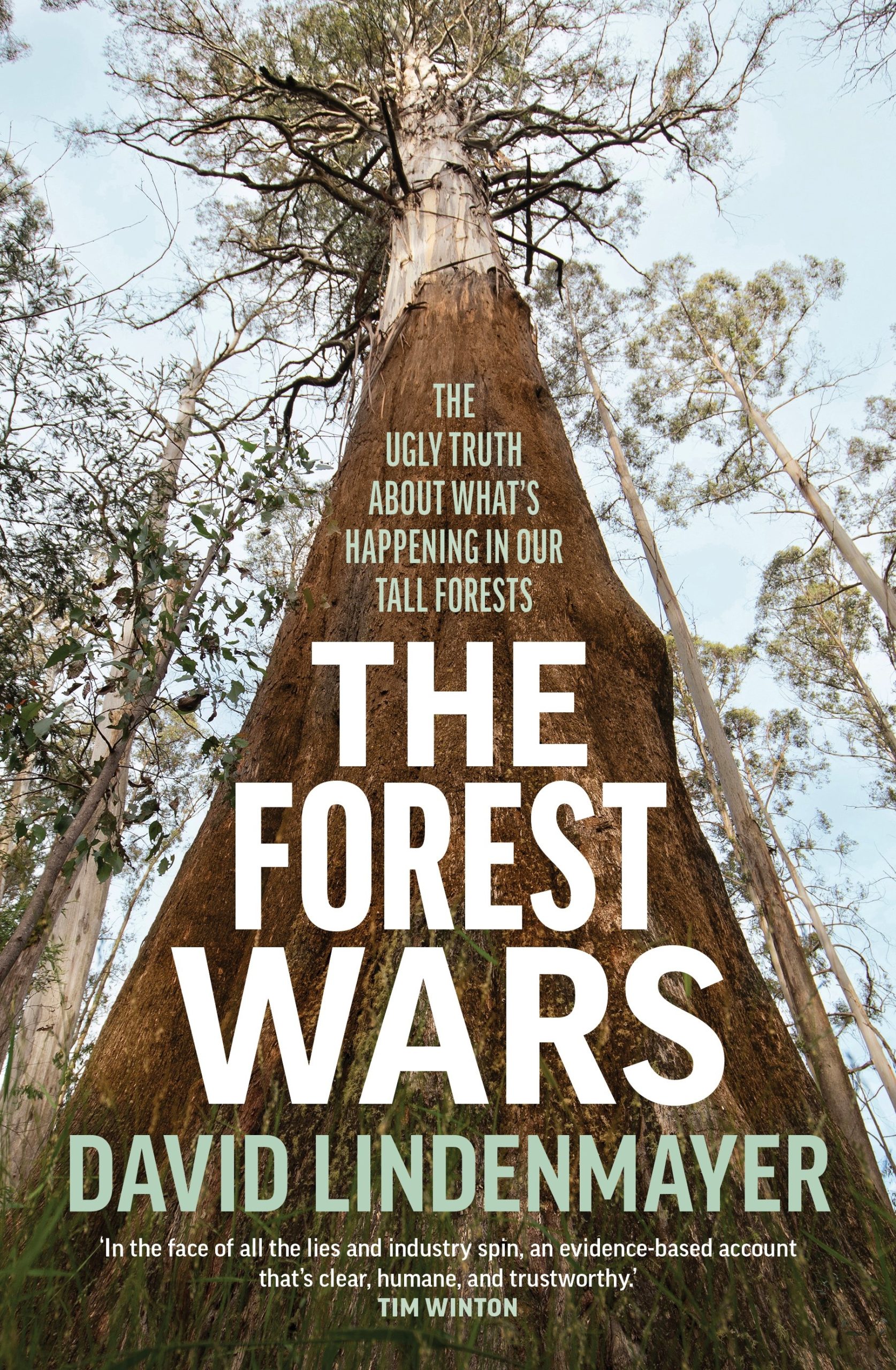 Forest Wars: The ugly truth about what's happening in our tall forests